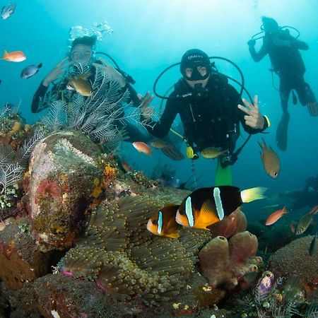 Bali Dive Resort Amed Luaran gambar